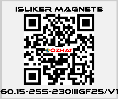 GIs-60.15-25S-230IIIGF25/V1474 ISLIKER MAGNETE