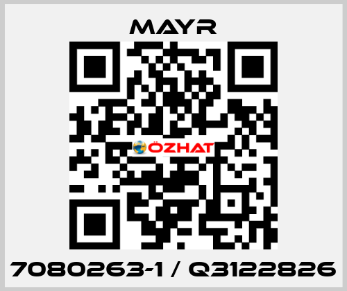 7080263-1 / Q3122826 Mayr