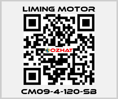 CM09-4-120-SB Liming Motor