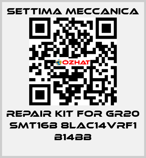 Repair kit for GR20 SMT16B 8LAC14VRF1 B14BB Settima Meccanica