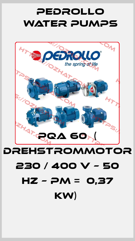 PQA 60  ( Drehstrommotor  230 / 400 V – 50 Hz – Pm =  0,37 kW)  Pedrollo Water Pumps