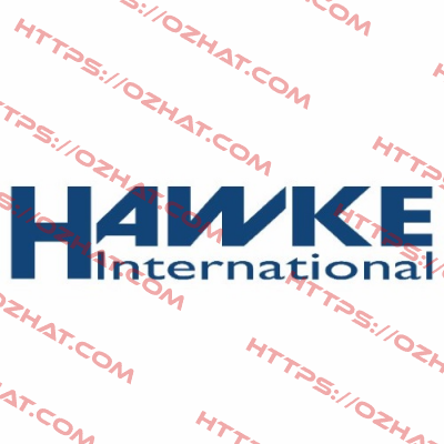 SAP 619807  3/4" NPT - 20MM REDUCER SS  Hawke