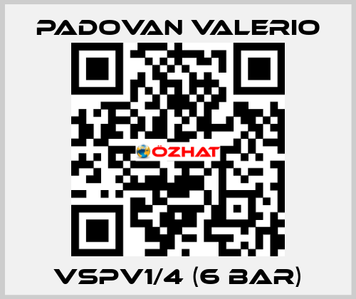VSPV1/4 (6 bar) PADOVAN VALERIO