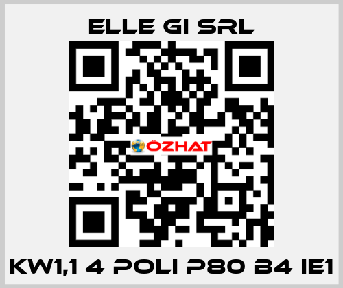 KW1,1 4 POLI P80 B4 IE1 ELLE GI SRL