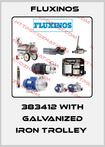 383412 with galvanized iron trolley  fluxinos