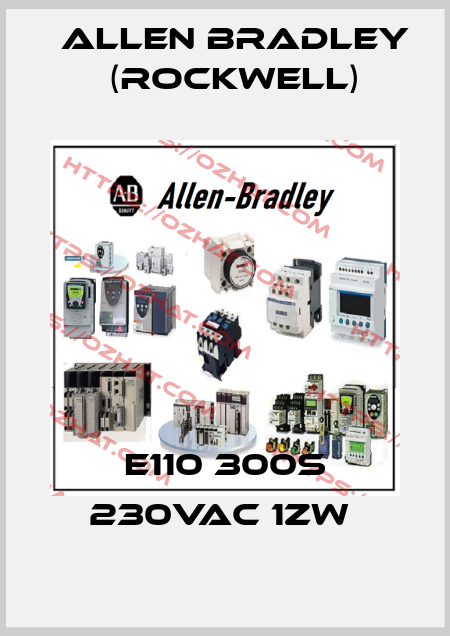 E110 300s 230VAC 1ZW  Allen Bradley (Rockwell)
