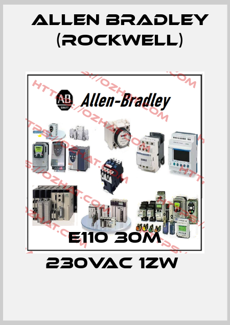 E110 30m 230VAC 1ZW  Allen Bradley (Rockwell)