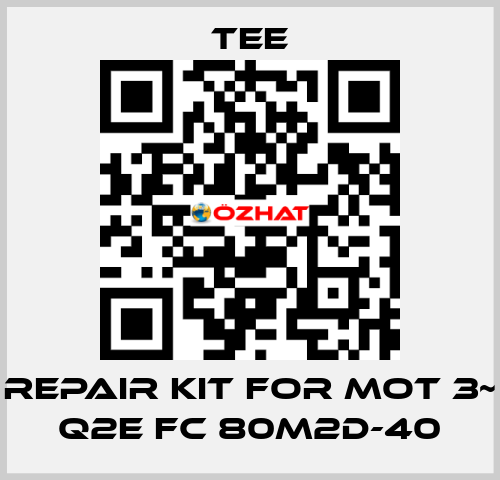 repair kit for Mot 3~ Q2E FC 80M2D-40 TEE
