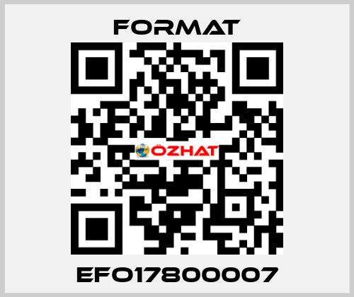 EFO17800007 Format