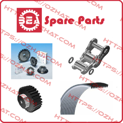 3/8 COR. SEMPL. Z80 BEA Ingranaggi