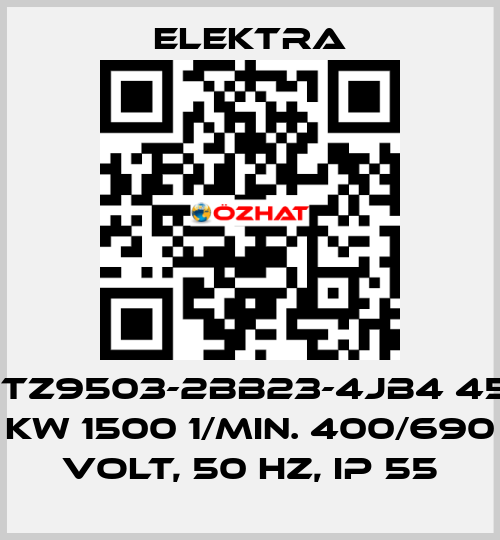 1TZ9503-2BB23-4JB4 45 kW 1500 1/min. 400/690 Volt, 50 Hz, IP 55 ELEKTRA
