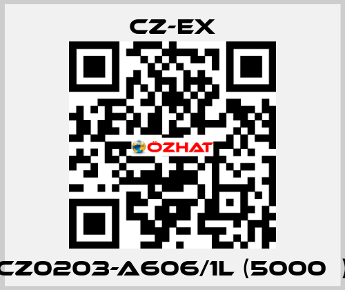 CZ0203-A606/1L (5000Ω) CZ-EX
