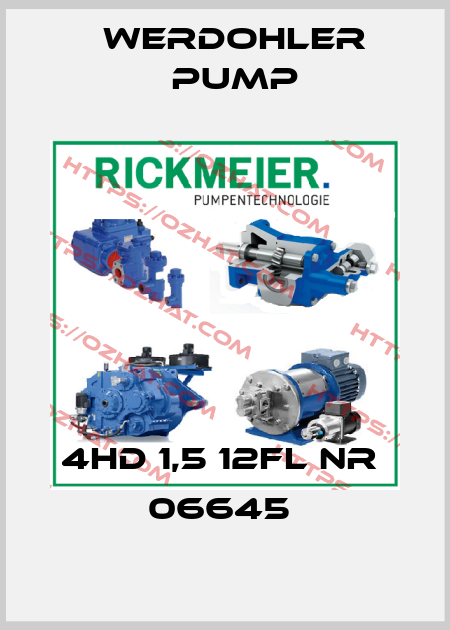 4HD 1,5 12FL Nr  06645  Werdohler Pump