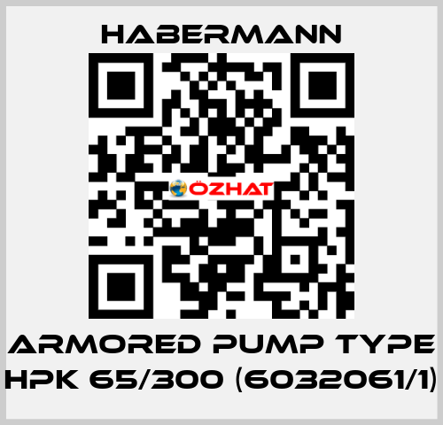 Armored pump type HPK 65/300 (6032061/1) HABERMANN