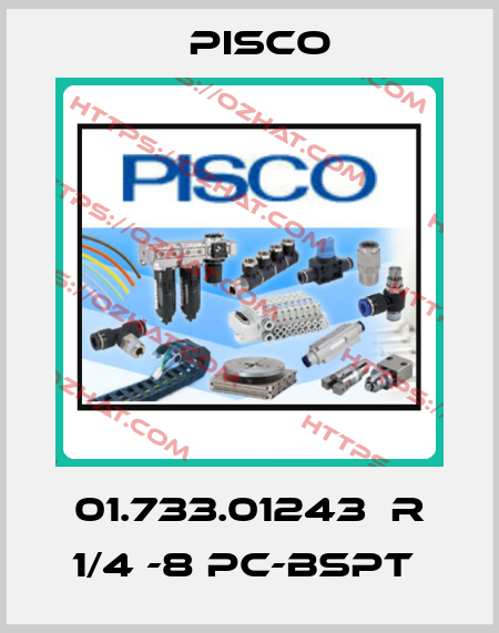 01.733.01243  R 1/4 -8 PC-BSPT  Pisco