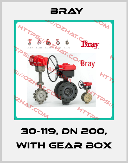 30-119, DN 200, with gear box Bray