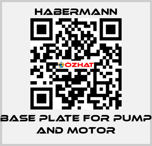 Base plate for pump and motor HABERMANN