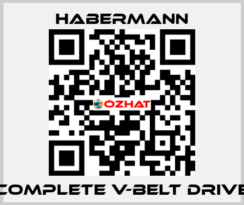 Complete V-belt drive HABERMANN