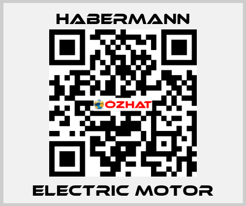 electric motor HABERMANN