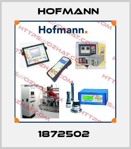 1872502  Hofmann