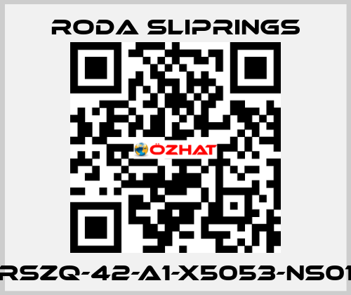 RSZQ-42-A1-X5053-NS01 Roda Sliprings