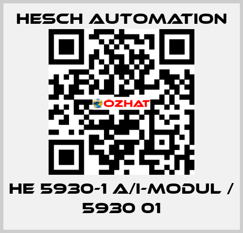 HE 5930-1 A/I-Modul / 5930 01 Hesch Automation