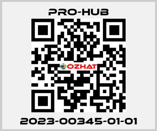 2023-00345-01-01 Pro-Hub