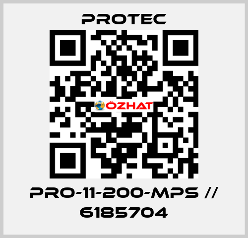 PRO-11-200-MPS // 6185704 Protec