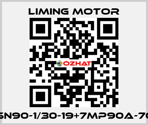LM-SN90-1/30-19+7MP90A-70-A2 Liming Motor