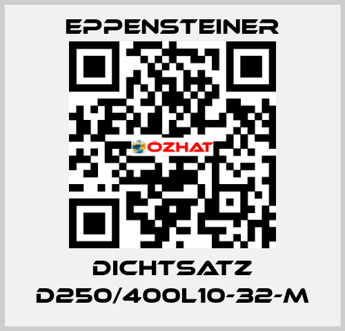 Dichtsatz D250/400L10-32-M Eppensteiner