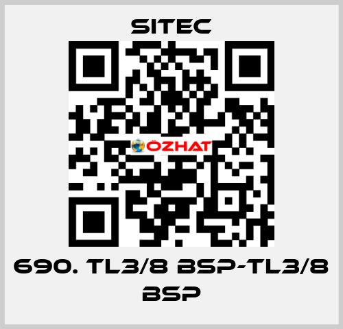690. TL3/8 BSP-TL3/8 BSP SITEC