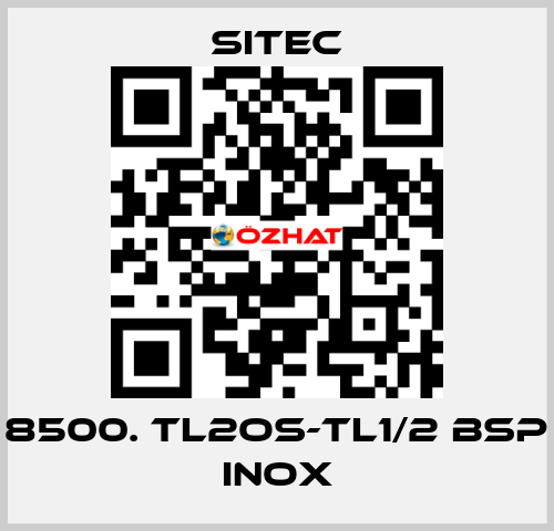 8500. TL2OS-TL1/2 BSP inox SITEC