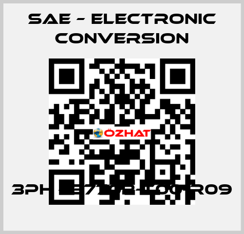 3PH - 37702-T00-R09 SAE – Electronic Conversion