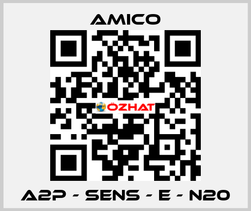 A2P - SENS - E - N20 AMICO