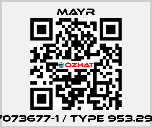 7073677-1 / Type 953.291 Mayr