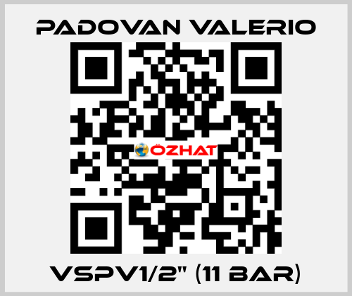 VSPV1/2" (11 bar) PADOVAN VALERIO