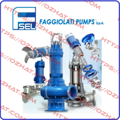 GM17A471T1-4V2KA0 with SSM050-AZP06 mount Faggiolati