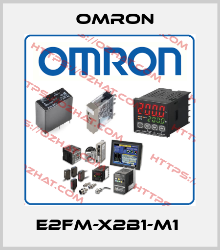 E2FM-X2B1-M1  Omron