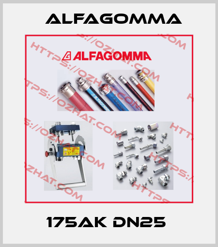 175AK DN25  Alfagomma