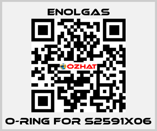 O-Ring for S2591X06 Enolgas
