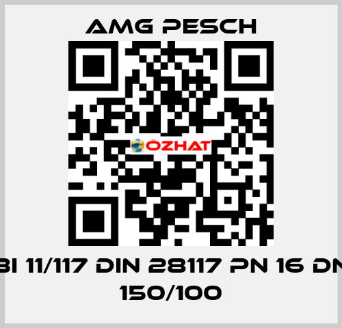 BI 11/117 DIN 28117 PN 16 DN 150/100 AMG Pesch