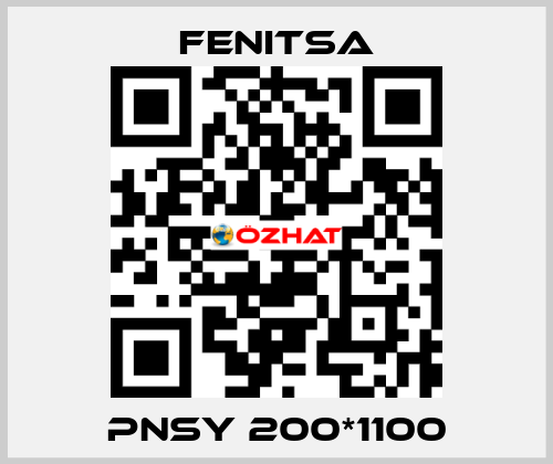 PNSY 200*1100 Fenitsa