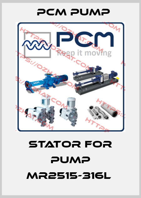 Stator for Pump MR2515-316L  PCM Pump