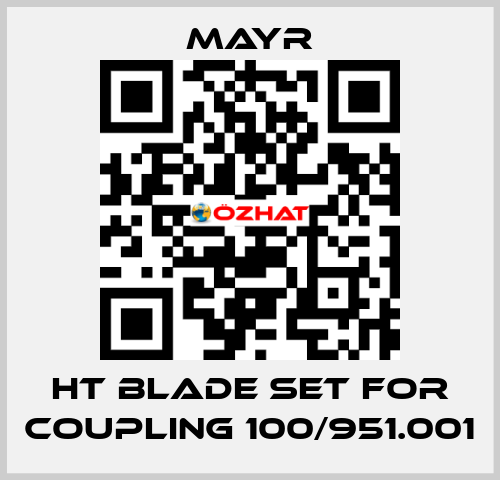 HT blade set for coupling 100/951.001 Mayr