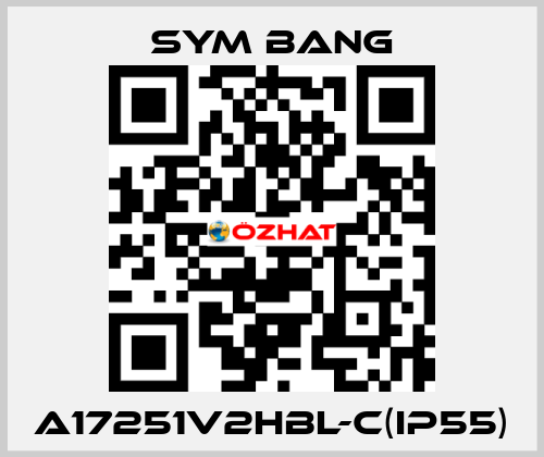 A17251V2HBL-C(IP55) SYM BANG