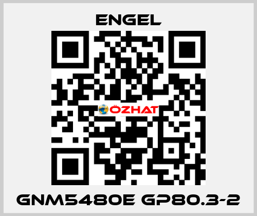 GNM5480E GP80.3-2 ENGEL