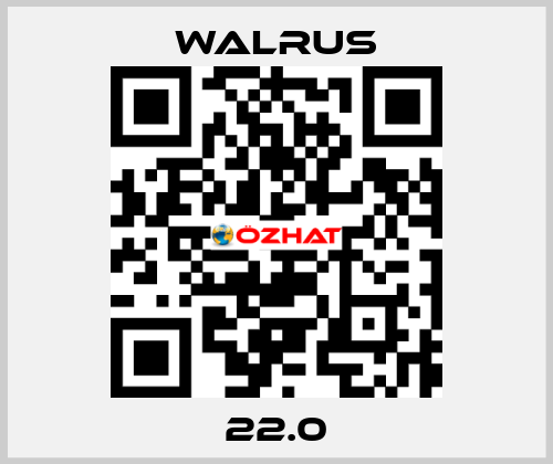 22.0 Walrus