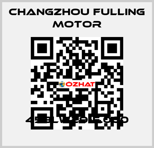 45BLW29-E.000 Changzhou Fulling Motor