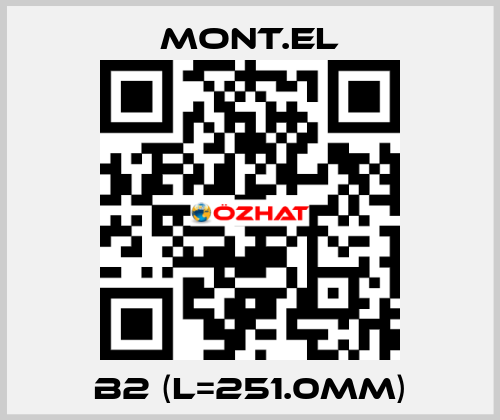B2 (L=251.0mm) Mont.El