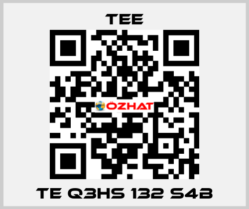 TE Q3HS 132 S4B TEE